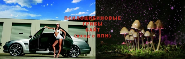 apvp Киреевск