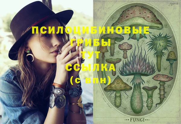 apvp Киреевск