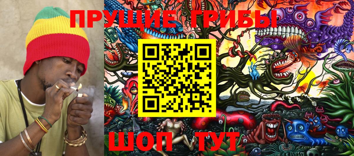 Псилоцибиновые грибы Cubensis Кизляр