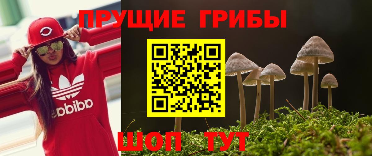 Псилоцибиновые грибы Magic Shrooms  Вход с VPN  Кизляр 
